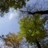 French Creek State Park and Hopewell Furnace, PA