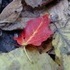 French Creek State Park and Hopewell Furnace, PA