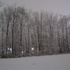 A bright snowy night