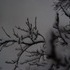 A bright snowy night