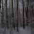 A bright snowy night