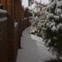 A bright snowy night