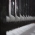 A bright snowy night