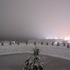 A bright snowy night