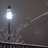 A bright snowy night