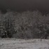 A bright snowy night