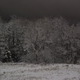 A bright snowy night