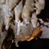 Spelunking in J4 with Kevin.