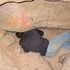 Spelunking in J4 with Kevin.