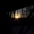 The sunset out my back window.