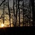 The sunset out my back window.