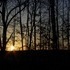 The sunset out my back window.