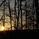 The sunset out my back window.