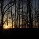 The sunset out my back window.