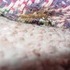 A spidery creature.