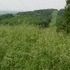 2003 Appalacian Trail hike.