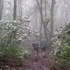 2003 Appalacian Trail hike.