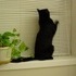 My cat CJ.