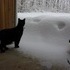 Of snow, and meow mix.