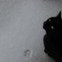 Of snow, and meow mix.