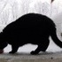 Of snow, and meow mix.