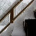 Of snow, and meow mix.