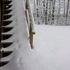 Of snow, and meow mix.