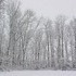 Of snow, and meow mix.