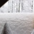 Of snow, and meow mix.