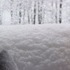 Of snow, and meow mix.