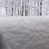 Of snow, and meow mix.