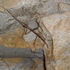 Spelunking in J4 with Kim