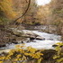 McConnells Mill State Park