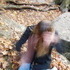 McConnells Mill State Park