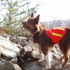 Short AT Hike in Palmerton, PA