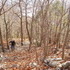 Short AT Hike in Palmerton, PA