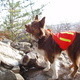Short AT Hike in Palmerton, PA