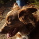 Short AT Hike in Palmerton, PA