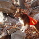 Short AT Hike in Palmerton, PA