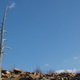 Short AT Hike in Palmerton, PA