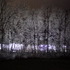 Ice Storm
