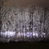 Ice Storm