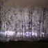 Ice Storm