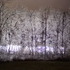 Ice Storm