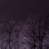 Ice Storm