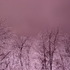 Ice Storm