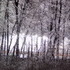 Ice Storm