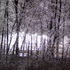 Ice Storm