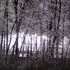 Ice Storm