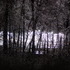 Ice Storm